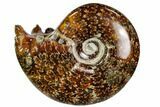 Polished, Agatized Ammonite (Cleoniceras) - Madagascar #110516-1